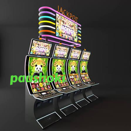paushoki slide 1